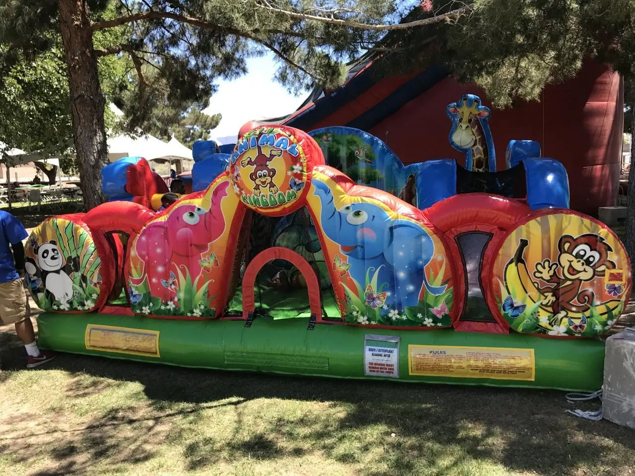 Animal Kingdom 17'x17' Toddler