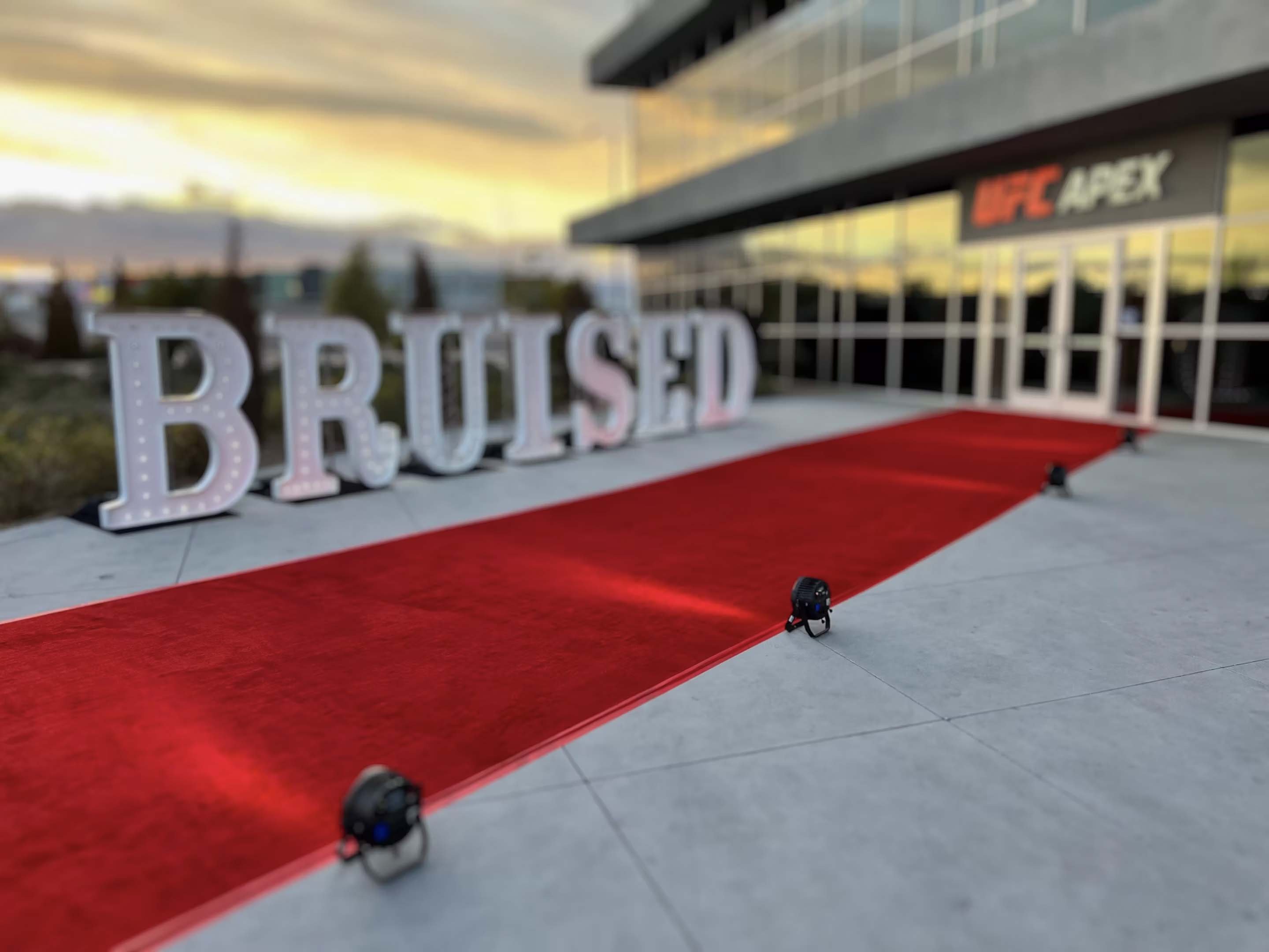 Professional Carpet Rental Solutions