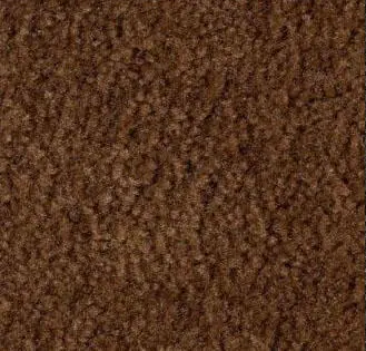 Coffee Carpet Sample