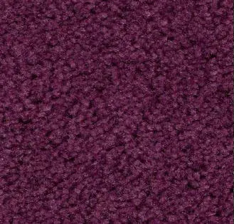 Grape Carpet Sample