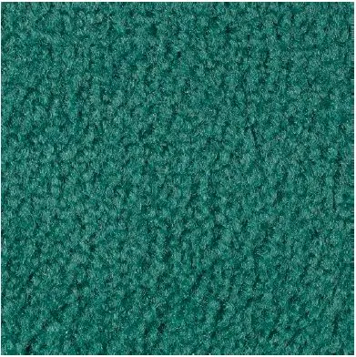 Teal Carpet Sample