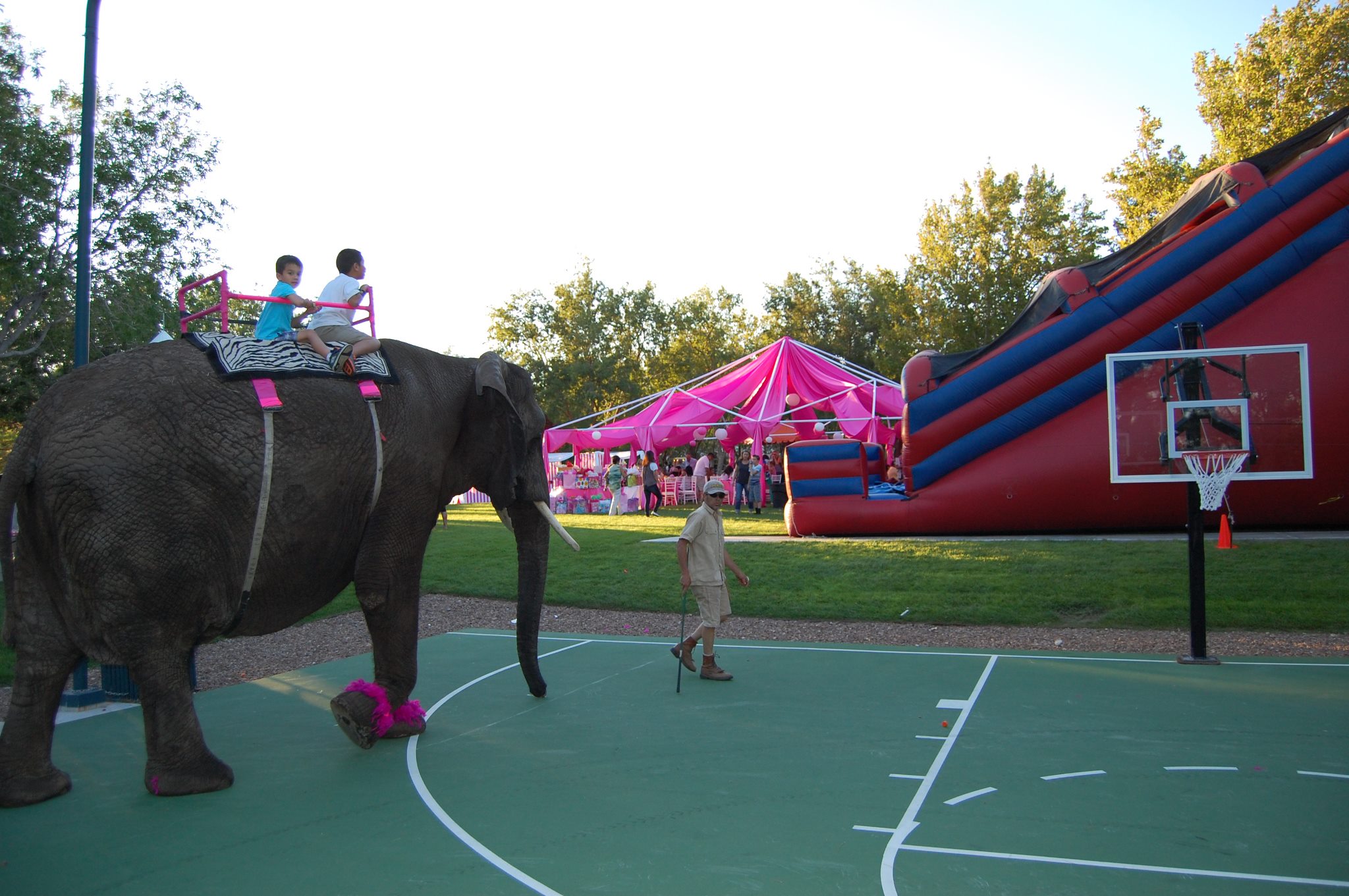 Festival Specialty Tent Installation