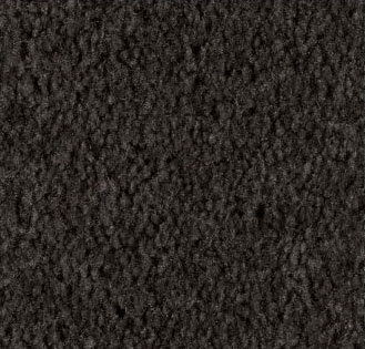 Charcoal Carpet Sample