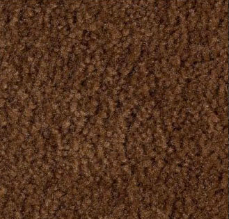 Coffee Carpet Sample