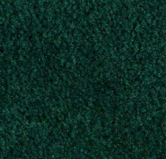 Emerald Carpet Sample