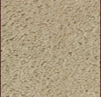 Ivory Carpet Sample