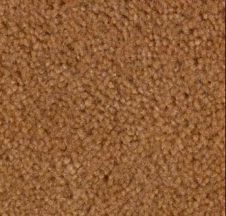 Mocha Carpet Sample
