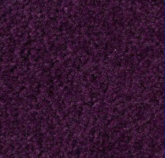 Plum Carpet Sample