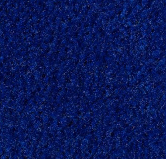 Royal Blue Carpet Sample