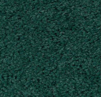 Spice Teal Carpet Sample