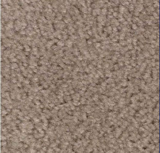 Taupe Carpet Sample