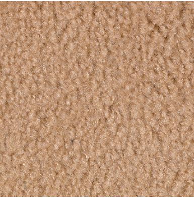 Beige Carpet Sample