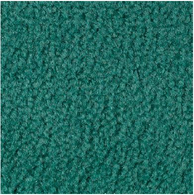 Teal Carpet Sample
